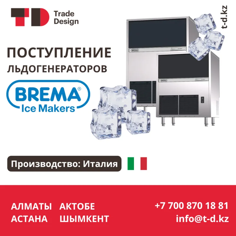 ПОСТУПЛЕНИЕ ЛЬДОГЕНЕРАТОРОВ BREMA